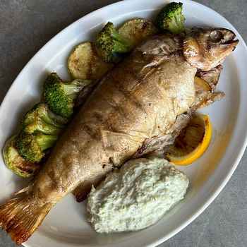 Річкова форель з соусом дзадзикі