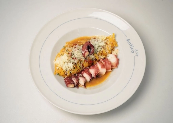 Аліоліо з восьминогом - ANTICA Eatery  asdsdsadssdsadasdasddd