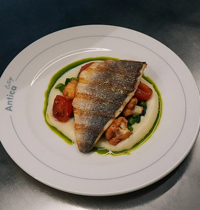 Дорадо на кремі з цвітної капусти - ANTICA Eatery 