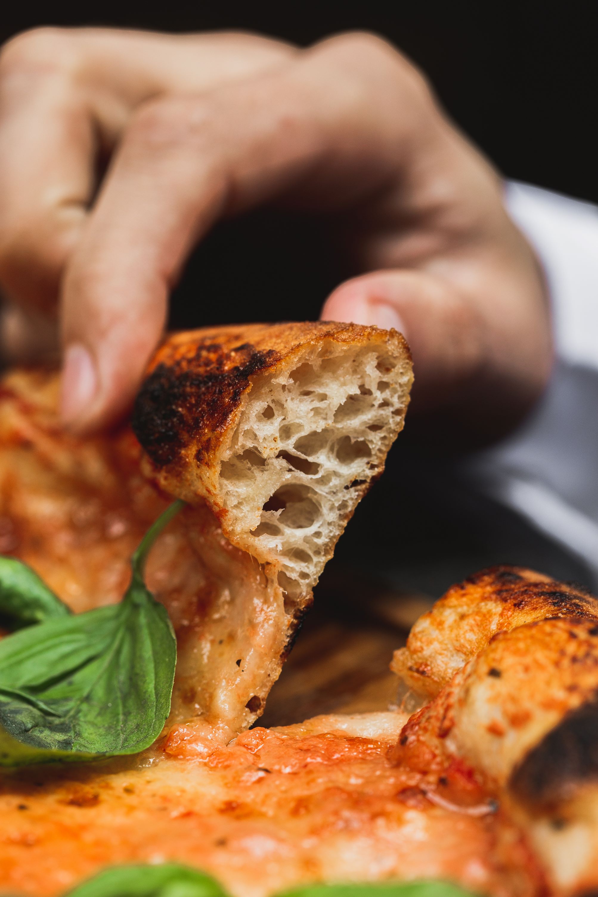 замовити піцу тернопіль